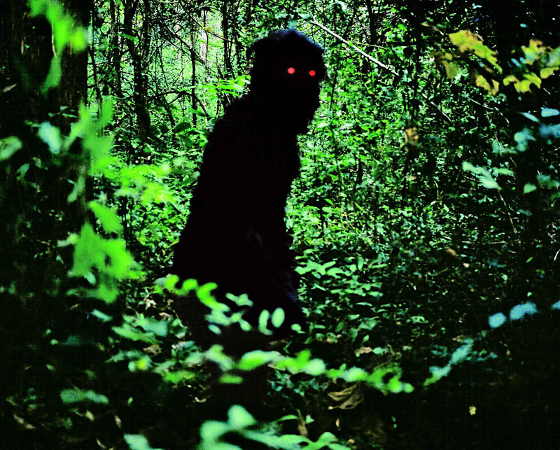 What's that thing in the woods? Weerasethakul isn't saying.