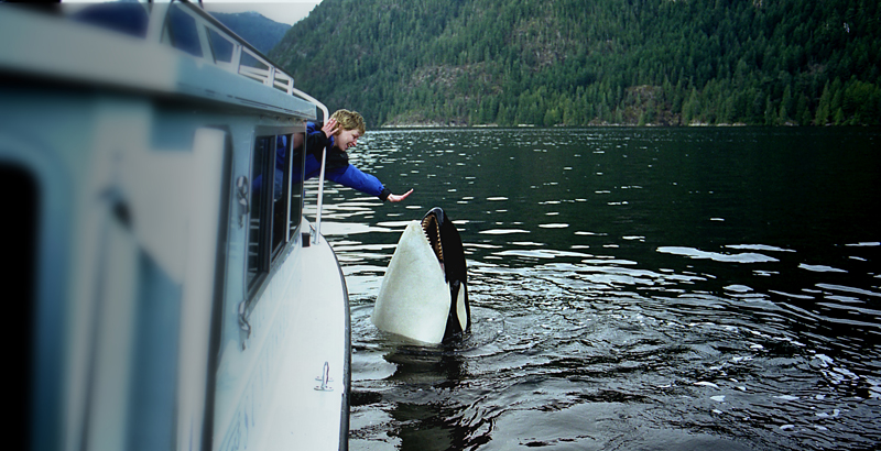 Luna: 3,000 pounds of cuteness and need.