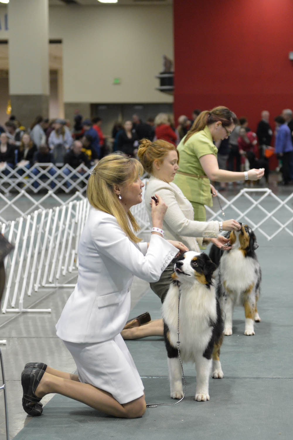 The Seattle Kennel Club, Inc. Dog Show celebrated its 75th year this