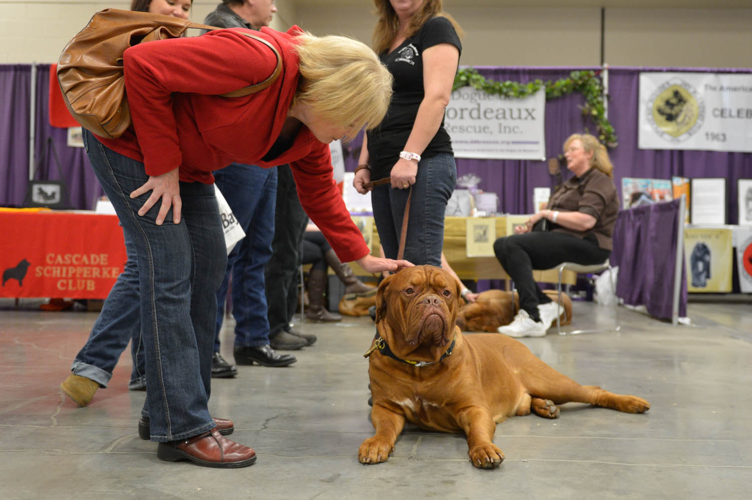 The Seattle Kennel Club, Inc. Dog Show celebrated its 75th year this