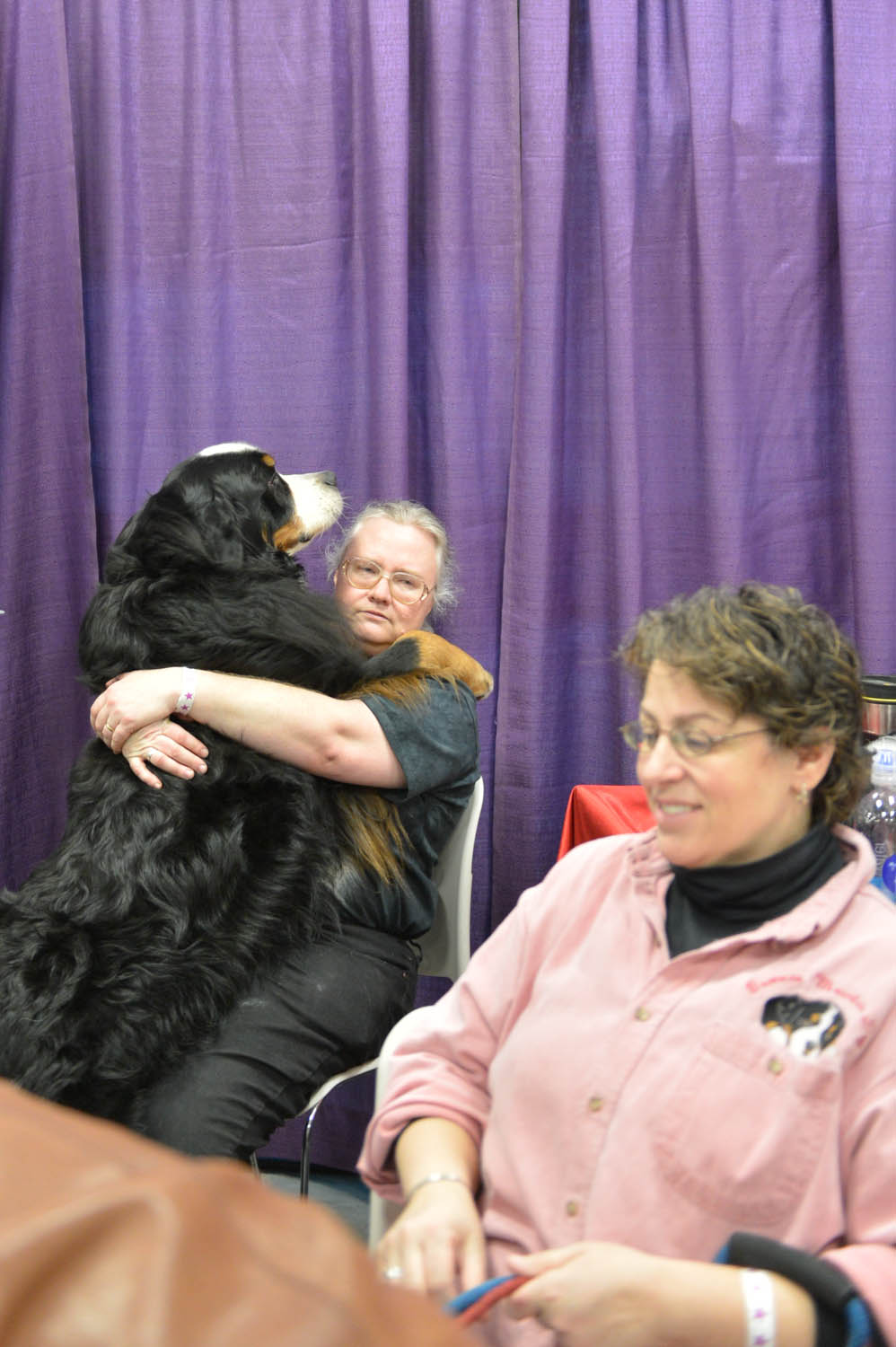The Seattle Kennel Club, Inc. Dog Show celebrated its 75th year this