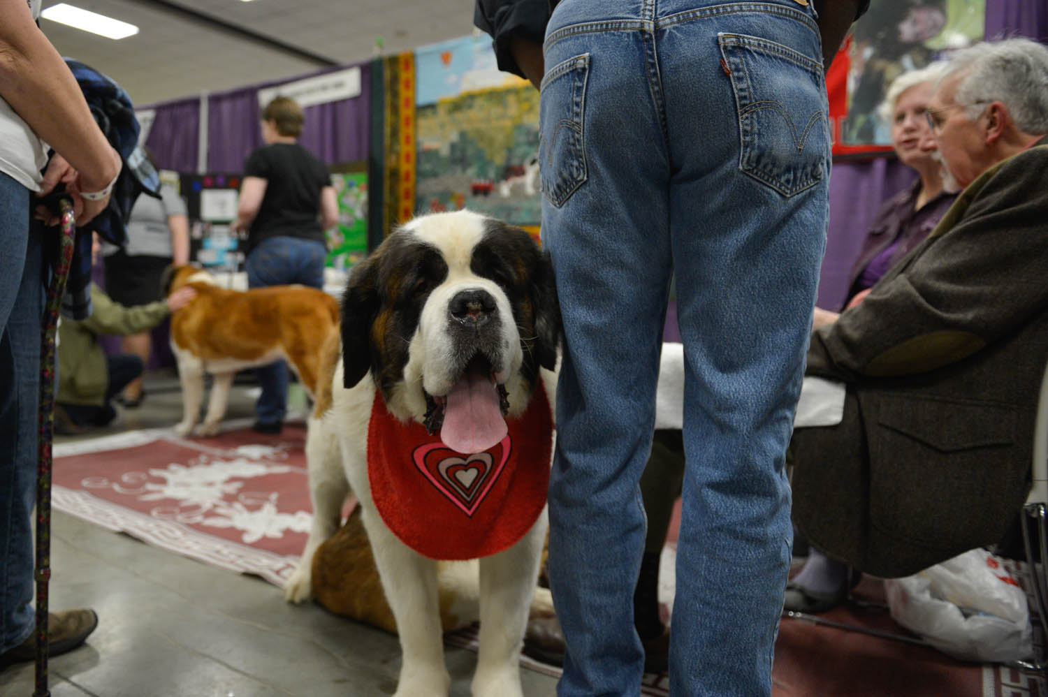 The Seattle Kennel Club, Inc. Dog Show celebrated its 75th year this