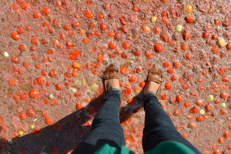 Those not afraid of seeing how catsup gets made converged at Pyramid