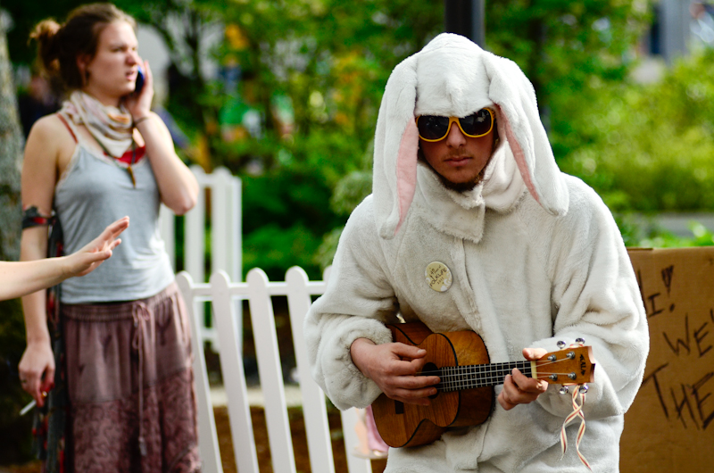 Folklife band The Hoot Hoots not only taught a bunny to play the Mario Kart theme song on guitar, but also commissioned a starfish and robot to dance alongside him.