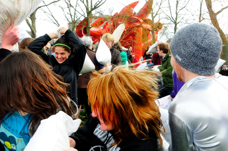 One pillow, determination, and the strength to smack the fluff out of