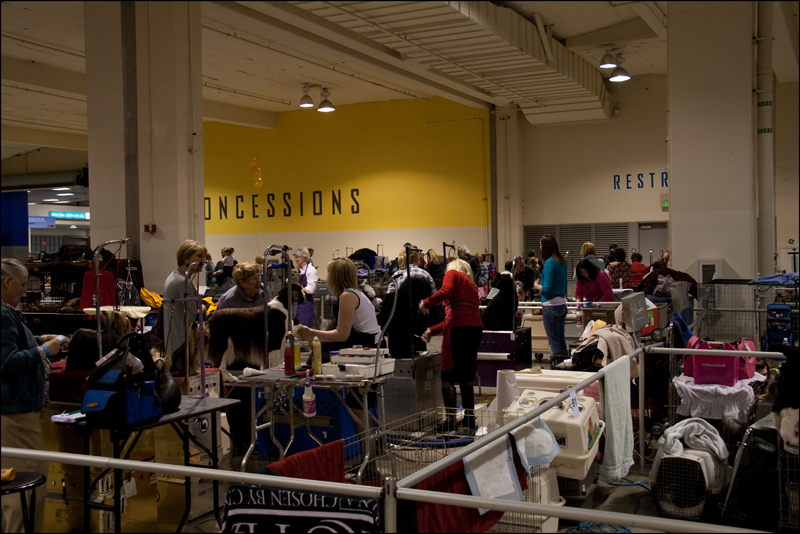 Dog Show People use more hair care products on their dogs than most women use in a lifetime.