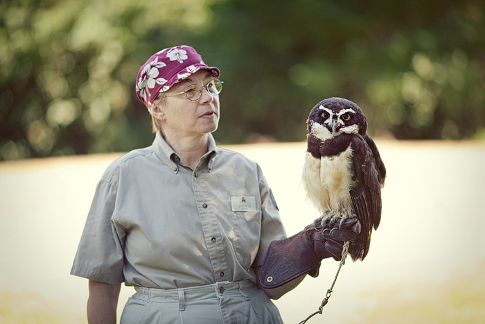 Catherine, a zoo volunteer, holds Coba, the 17 year old Spectacled Owl she handles every Friday. Coba has been at the zoo since birth.