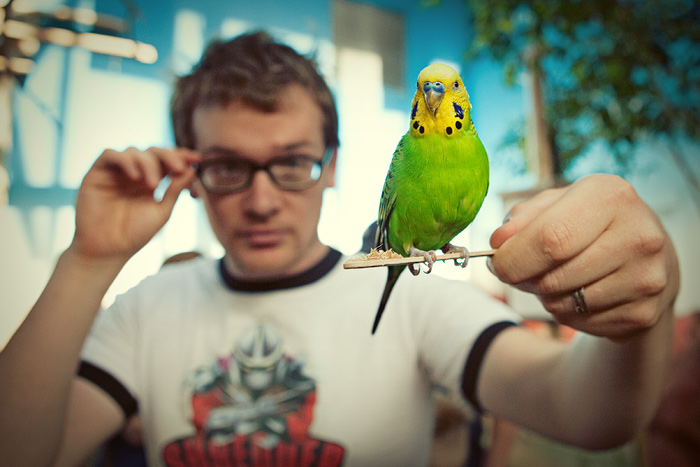 Andrew managed to lure one of them to his birdseed stick.