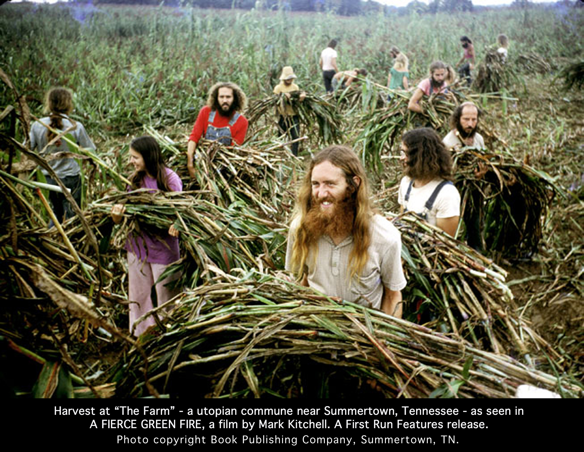 Tennessee communards gather their crop in the early '70s.David Frohman/Book Publishing Co./First Run Features