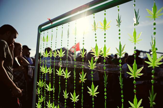 Back in 2010, a group of medical marijuana patients and growers in