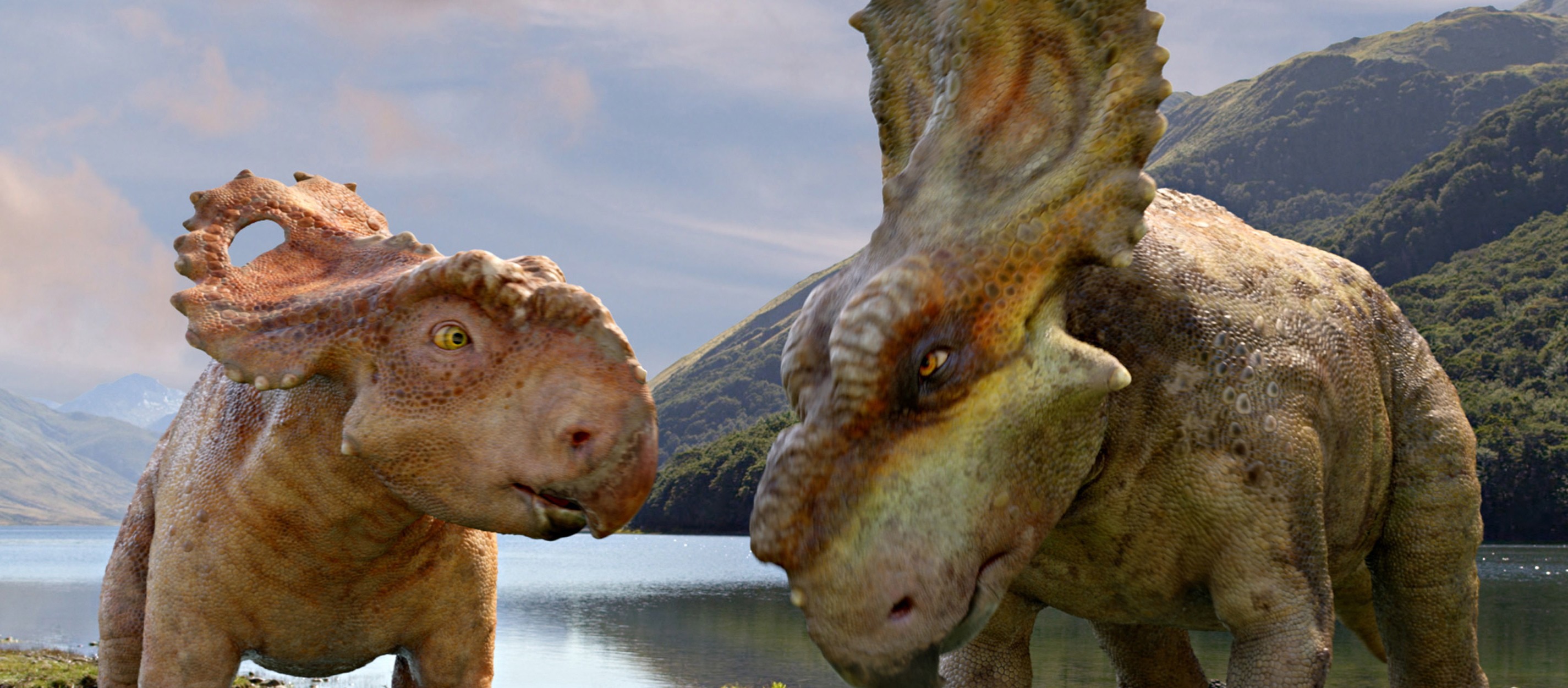 Patchi, left, with his older brother Scowler.