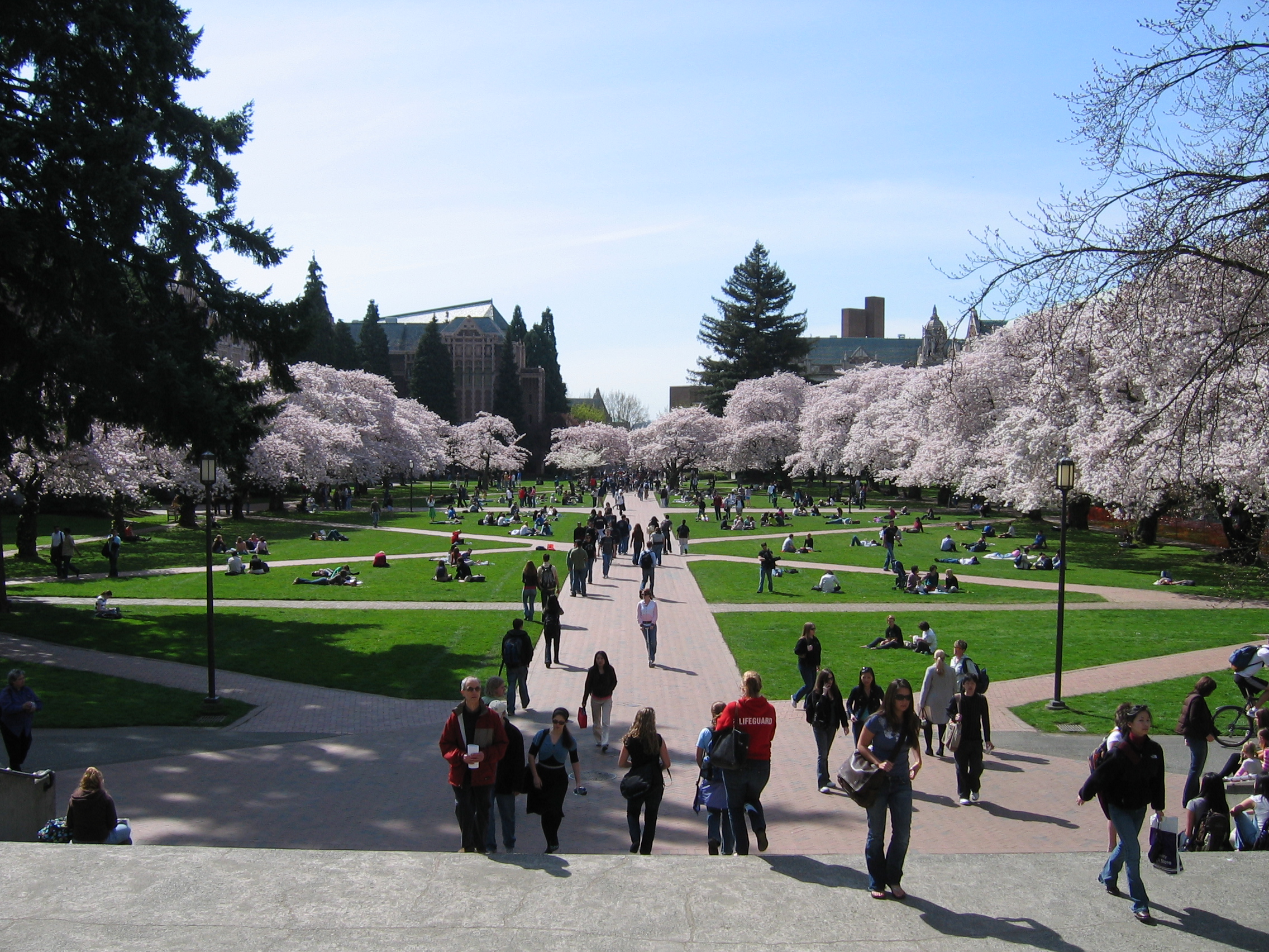 The University of Washington has once again been named one of the
