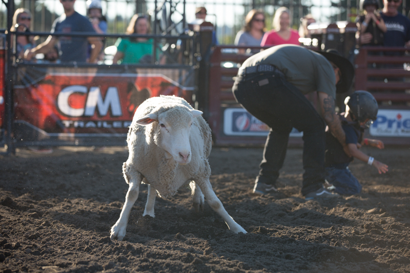 Grady is recovered from the dirt by an employee after being spilled into the dirt.