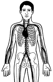 Your body, your bar code