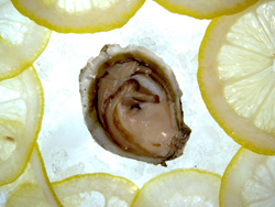 Oyster, nude, with lemon.