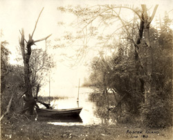 Foster Island, June 1913