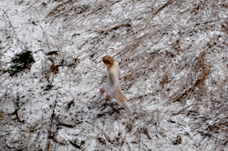 Come in from the cold.