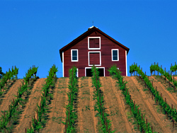 "Salmon Season!" "Little Bit of Lovin'," and Other Food Events