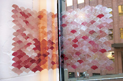 Terrain Too: A Skin Condition Becomes Art