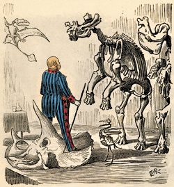 Antiquated and undemocratic, Caucusaurus Rex nonetheless thrives in Washington.