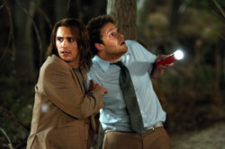 True bromance: Franco (left) and Rogen.