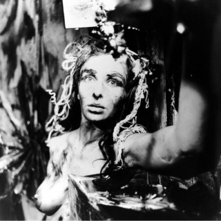 Carolee Schneemann: Within and Beyond the Premises