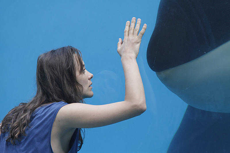 Cotillard's trainer gets too close to the whale.