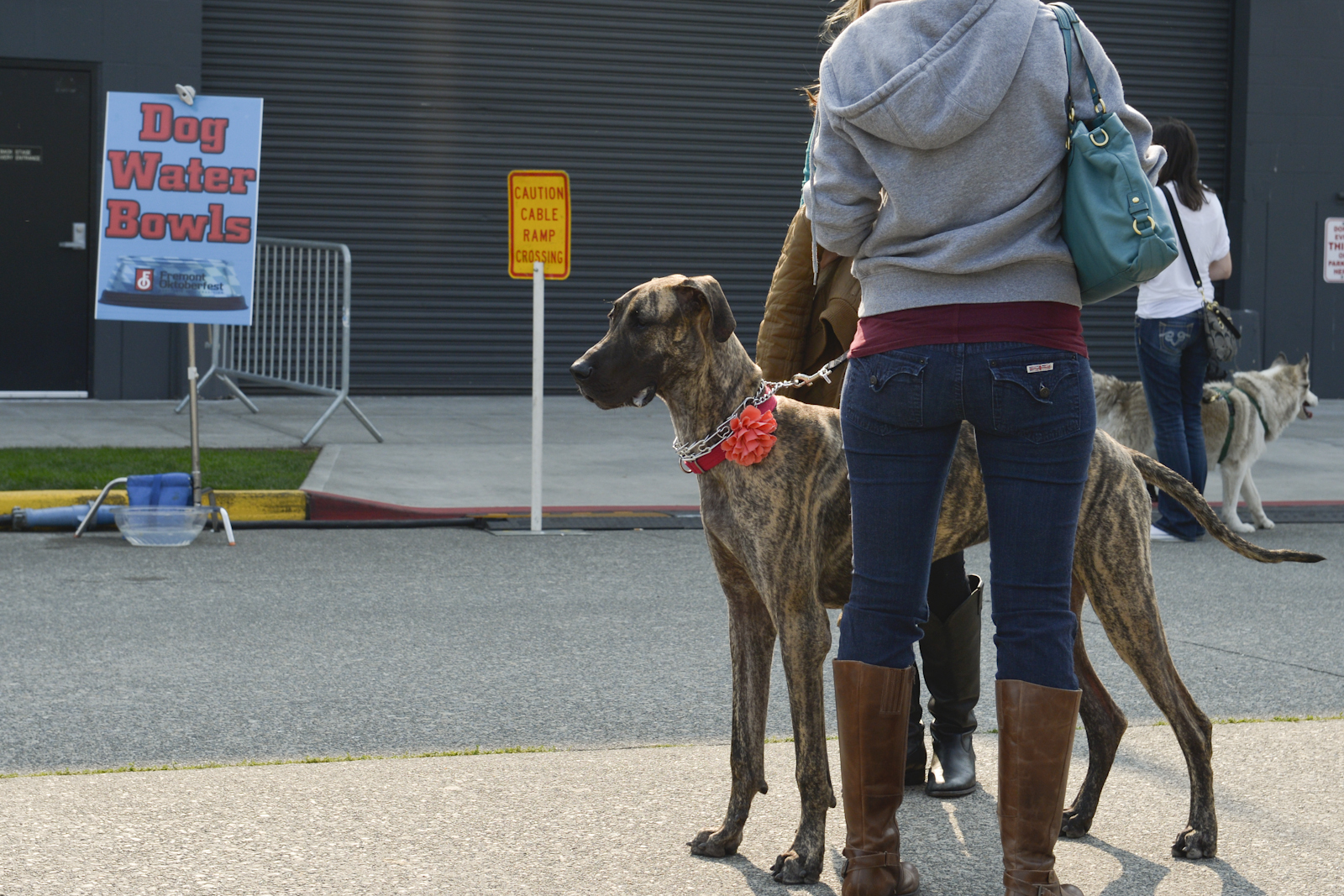 The Fremont Oktoberfest, the annual celebration of all things Bavarian, was held