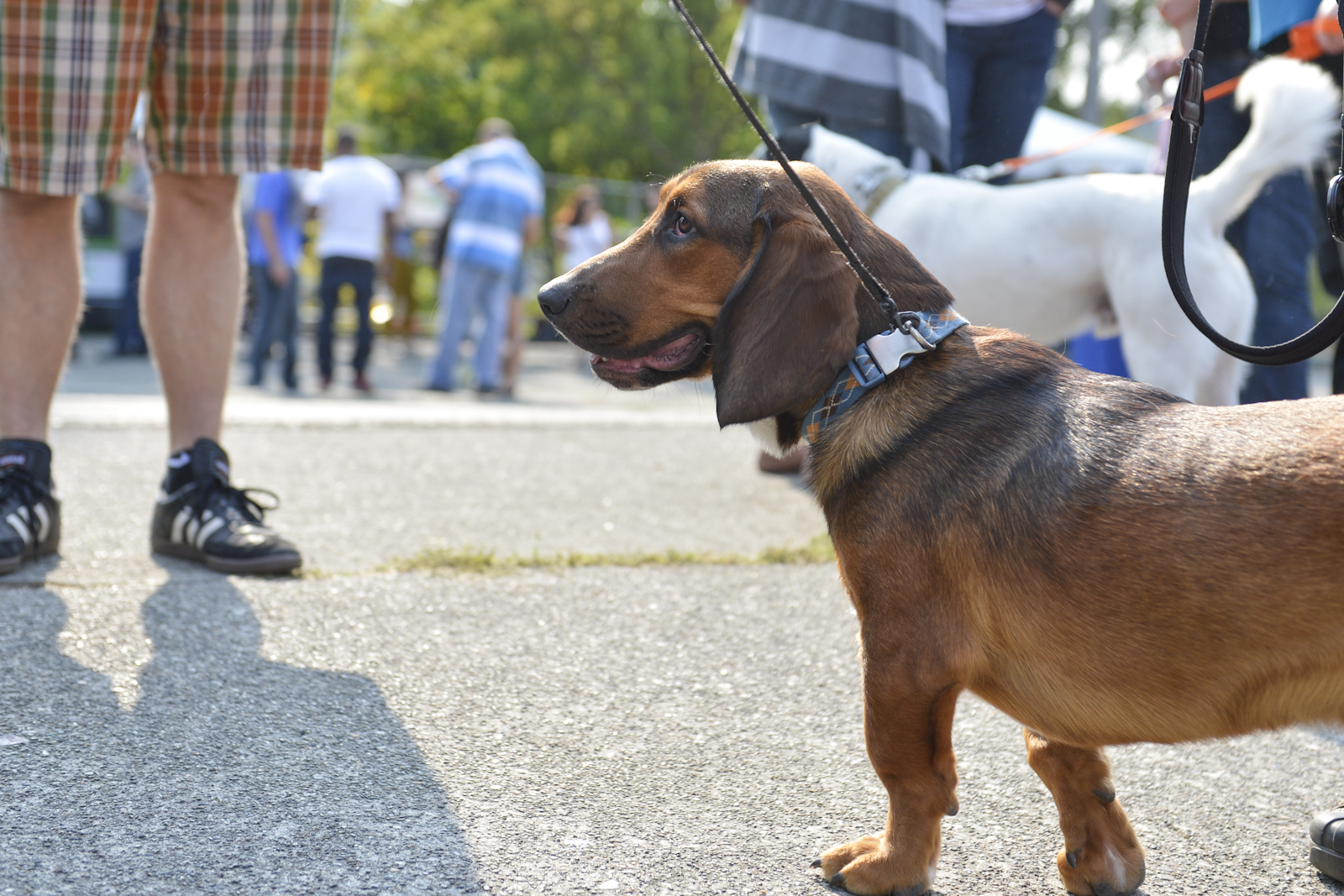 The Fremont Oktoberfest, the annual celebration of all things Bavarian, was held