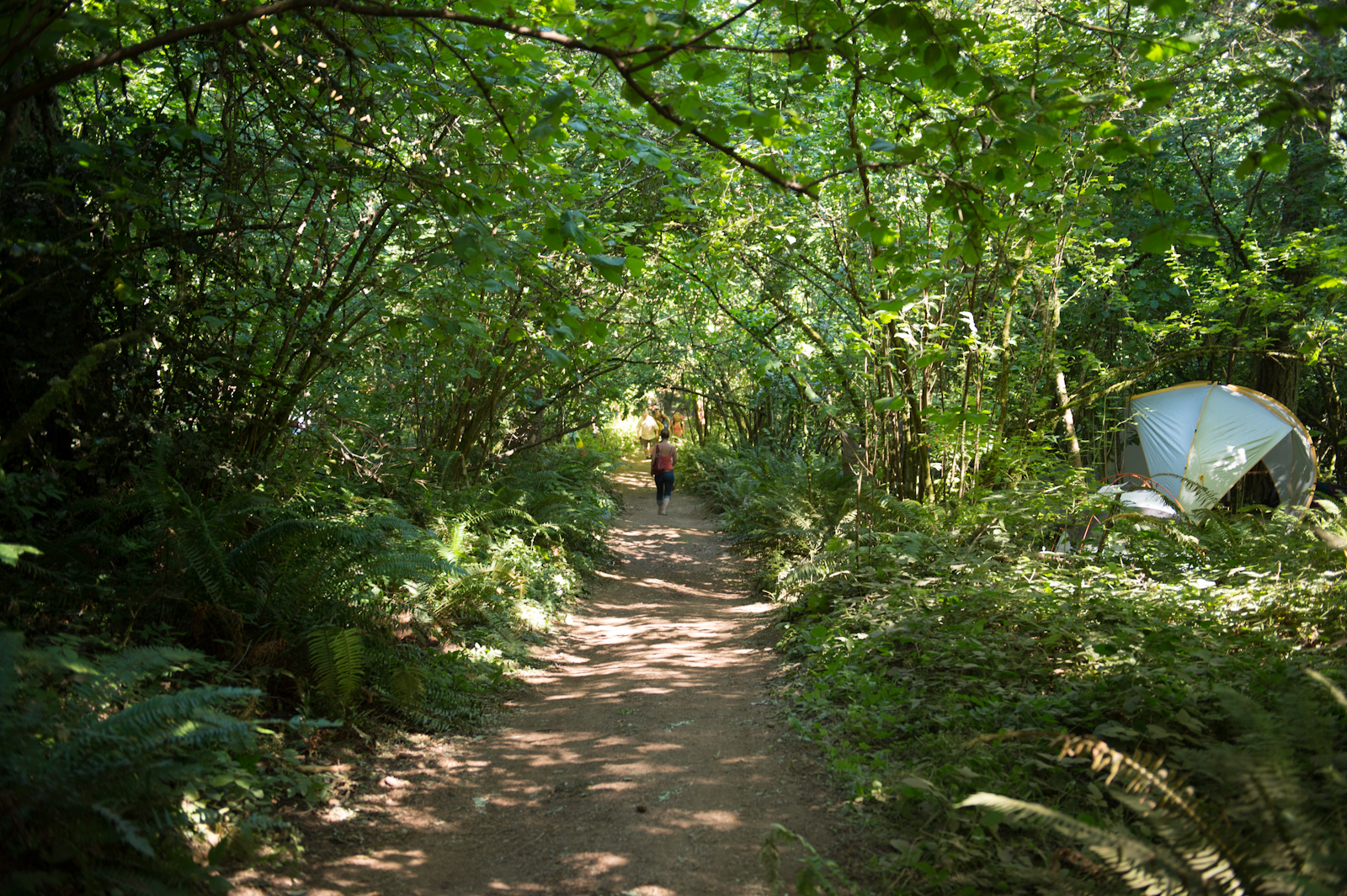 One of many trails on Pendarvis Farm.