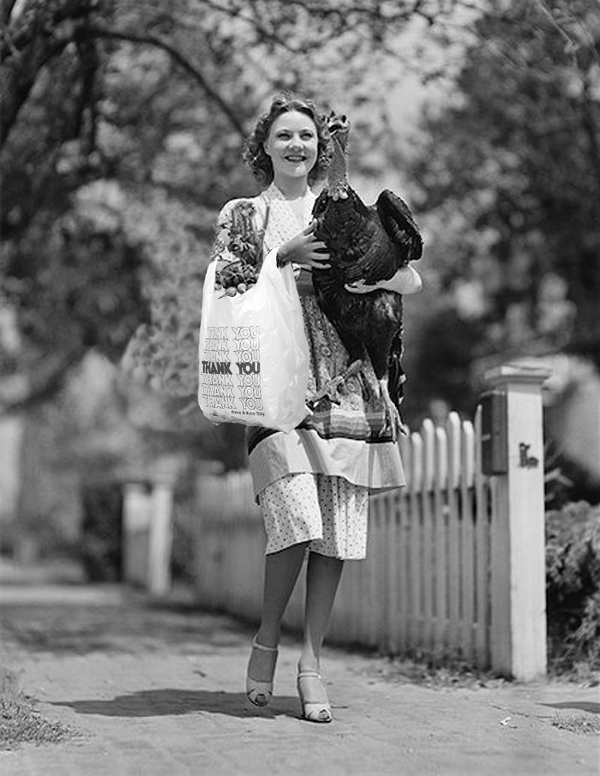 Birthed by Swedish engineer Sten Gustaf Thulin in the early 1960s, the Plastic Bag entered this world at a time of great possibility.