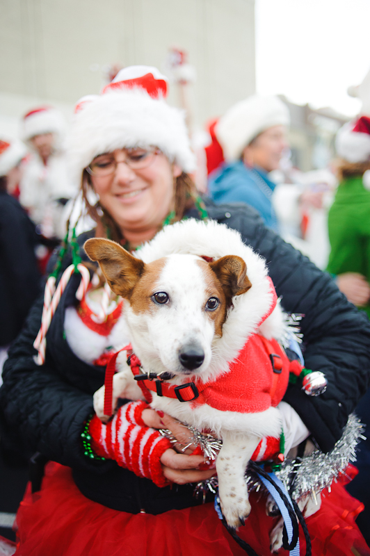 Even a few animals participated in this years Santarchy.