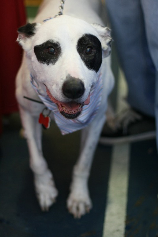 Saturday dawned bright for dogs, and the people who love them, to