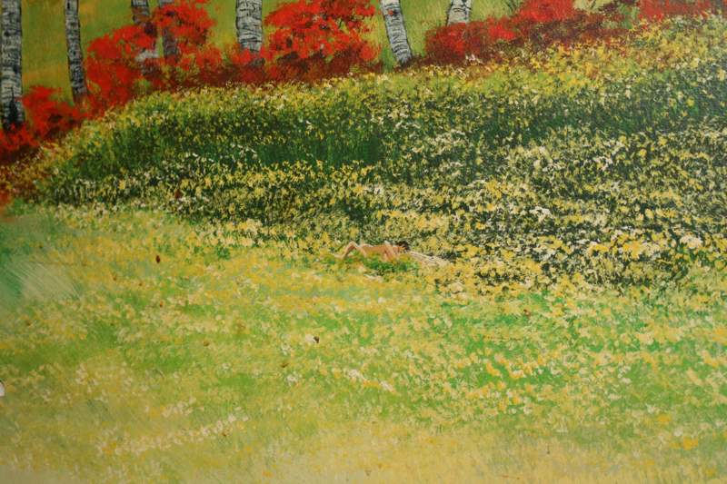 You know I've stared at this thing so many times and yet I always seem to find something new says Robertson. Without her help, I never would have found this couple making love in the bushes.