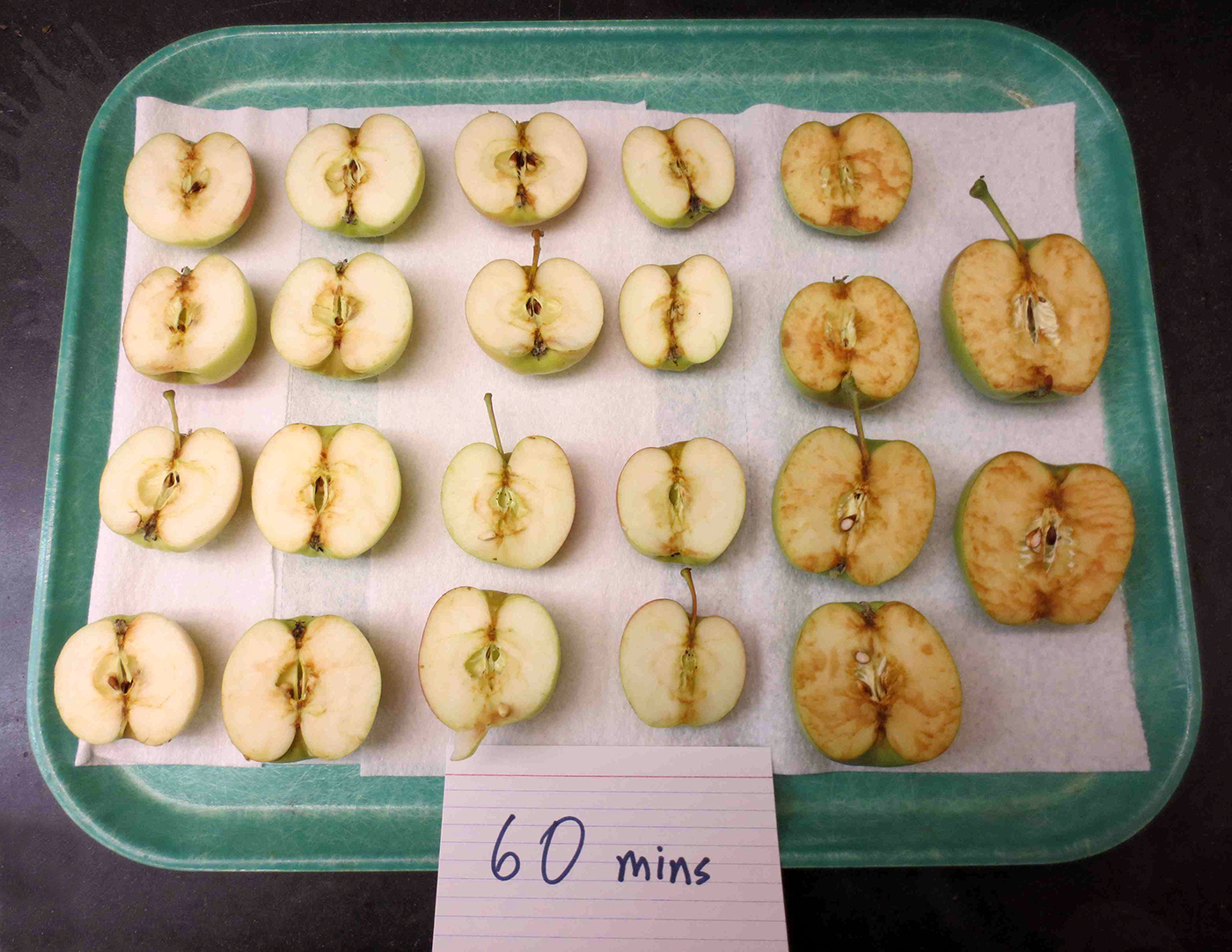 A side-by-side comparison showing how Arctic apples, left, brown more slowly than regular apples.