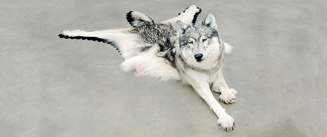 Galanin's Inert, at the Frye.Wayne Leidenfrost/Vancouver Sun