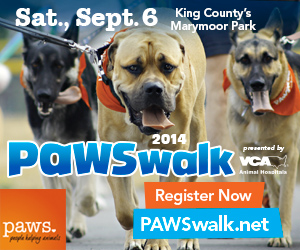 PAWS presents: PAWSwalk Saturday | September 6 1 pm | Marymoor Park  Enjoy a walk