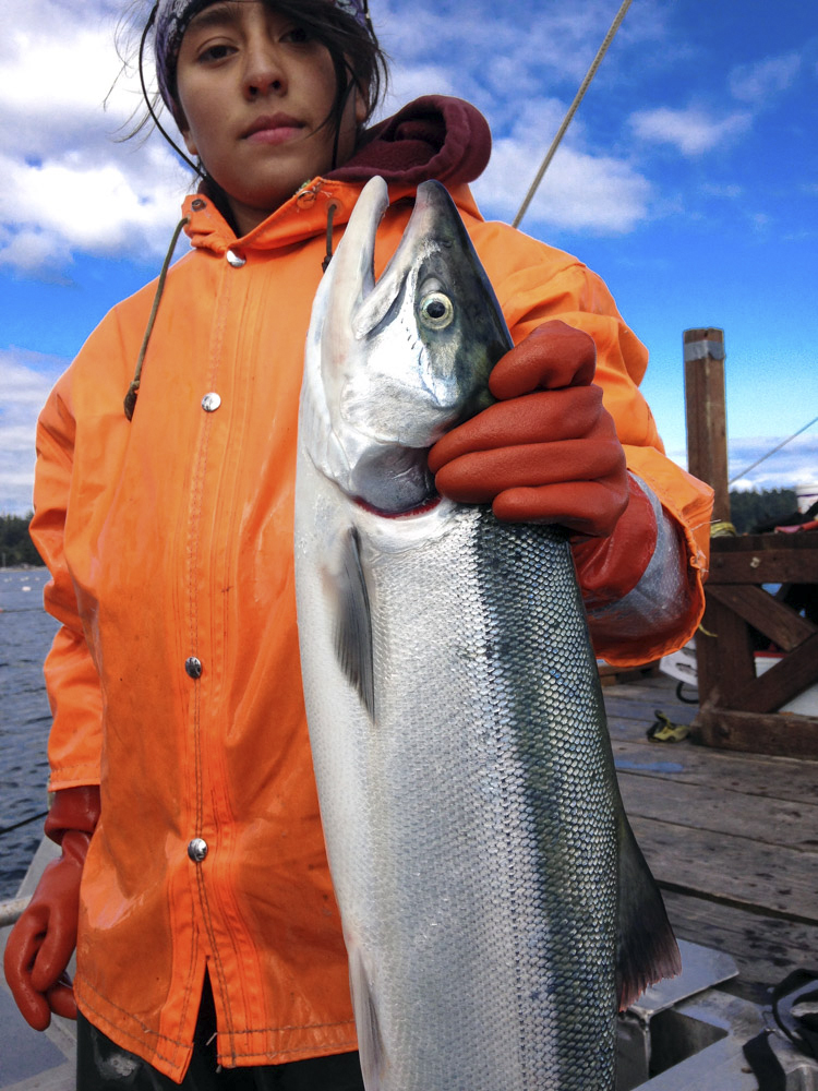 news&comment  5Text ColorSwatch/NoneStrokeStyle/$ID/SolidText ColorSwatch/NoneStrokeStyle/$ID/SolidText ColorText ColorText ColorText ColorVax attacks  by