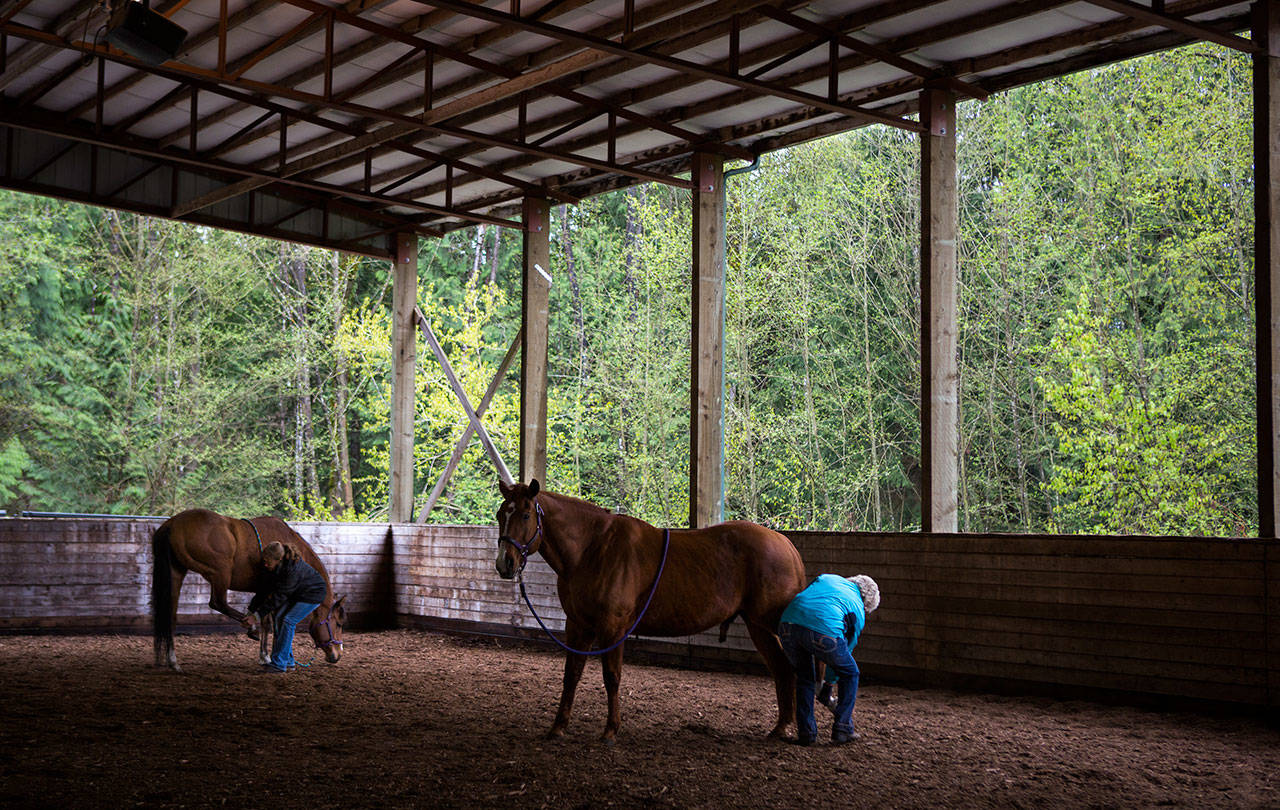 Participants practice stretches on their horses during a Sunday, April 14 yoga class at Cedarbrook Veterinary Care in Snohomish. (Olivia Vanni / The Herald)