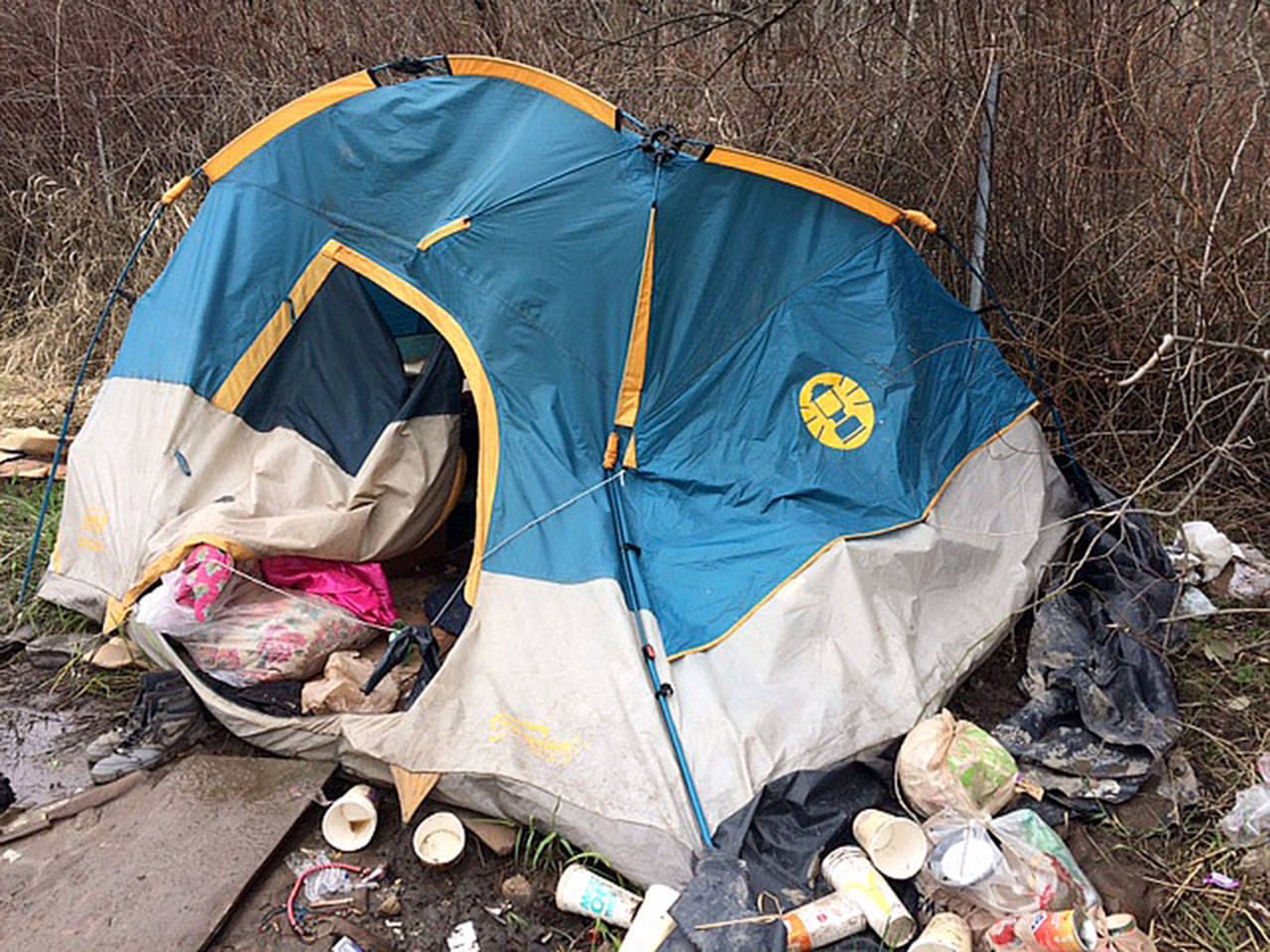 A homeless encampment in Bellevue. Photo courtesy of Bellevue Police Department