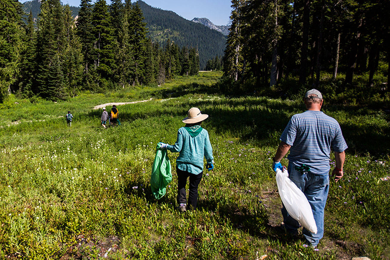 Stevens Pass cleanup nets beer, jeans and a 20-year-old pass