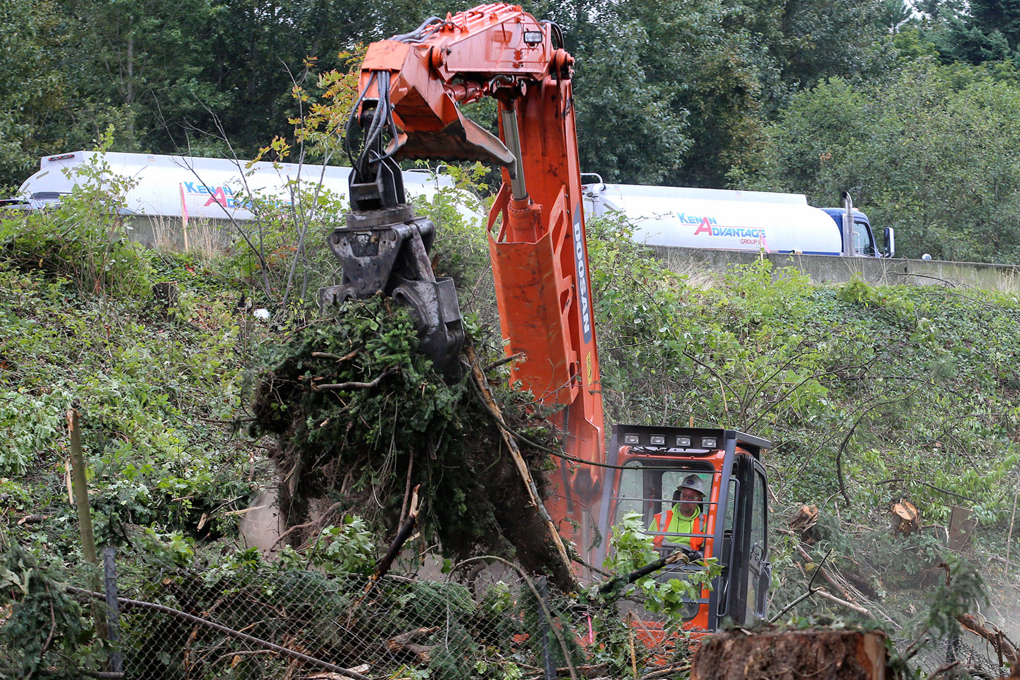 Tree and brush clearing continues in Mountlake Terrace along I-5 in preparation for the light extension to Lynnwood slated to be completed in 2024. (Kevin Clark / The Herald)