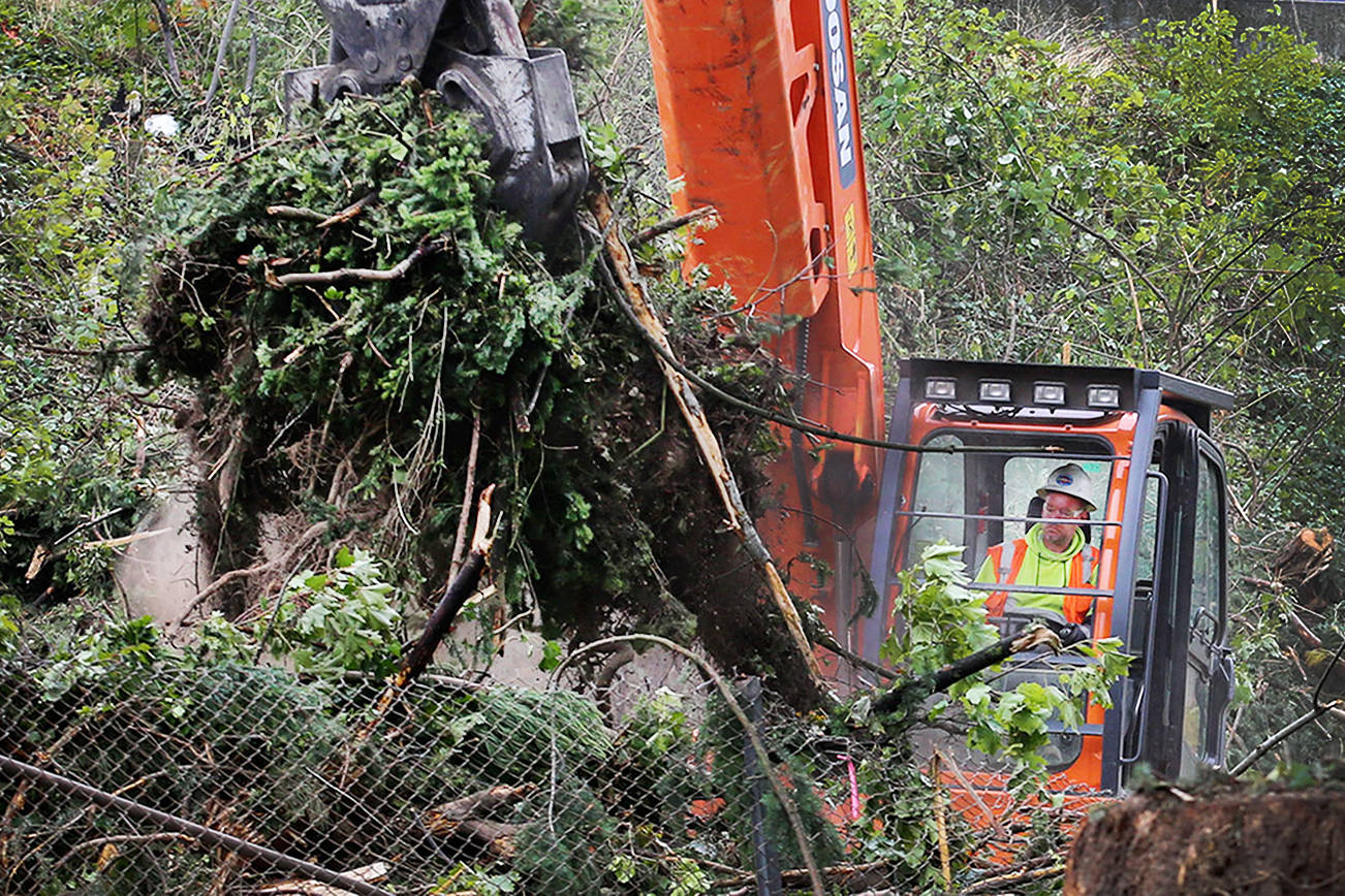 After trees fall, Lynnwood light rail construction looms