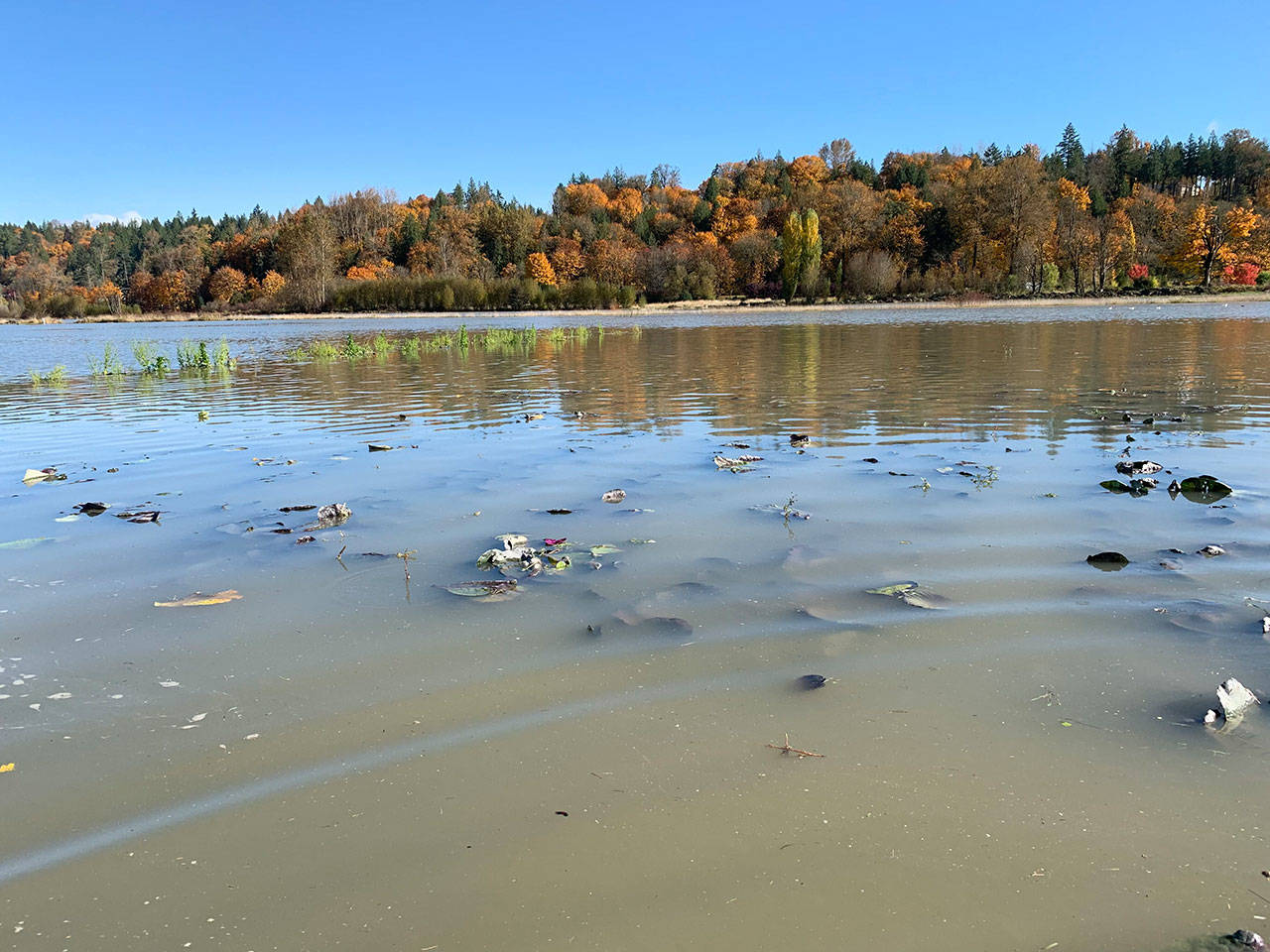 Much of Local Roots Farm near Duvall was submerged during the flooding on Oct. 22 and 23. While owner Siri Erickson-Brown said they’re prepared for flooding beginning in November, floods in October are much more rare. Contributed by Snoqualmie Valley Preservation Alliance