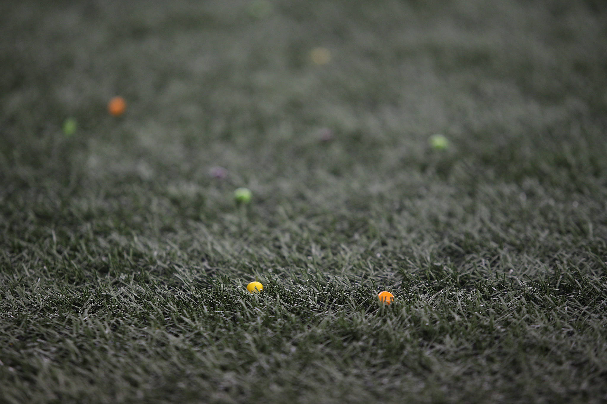 Fans throw Skittles onto the field to celebrate a touchdown by Seattle Seahawks’ Marshawn Lynch as the Seahawks lost to the San Francisco 49ers 26-21 at CenturyLink Field on Sunday, Dec. 29, 2019 in Seattle, Wash. (Andy Bronson / The Herald)