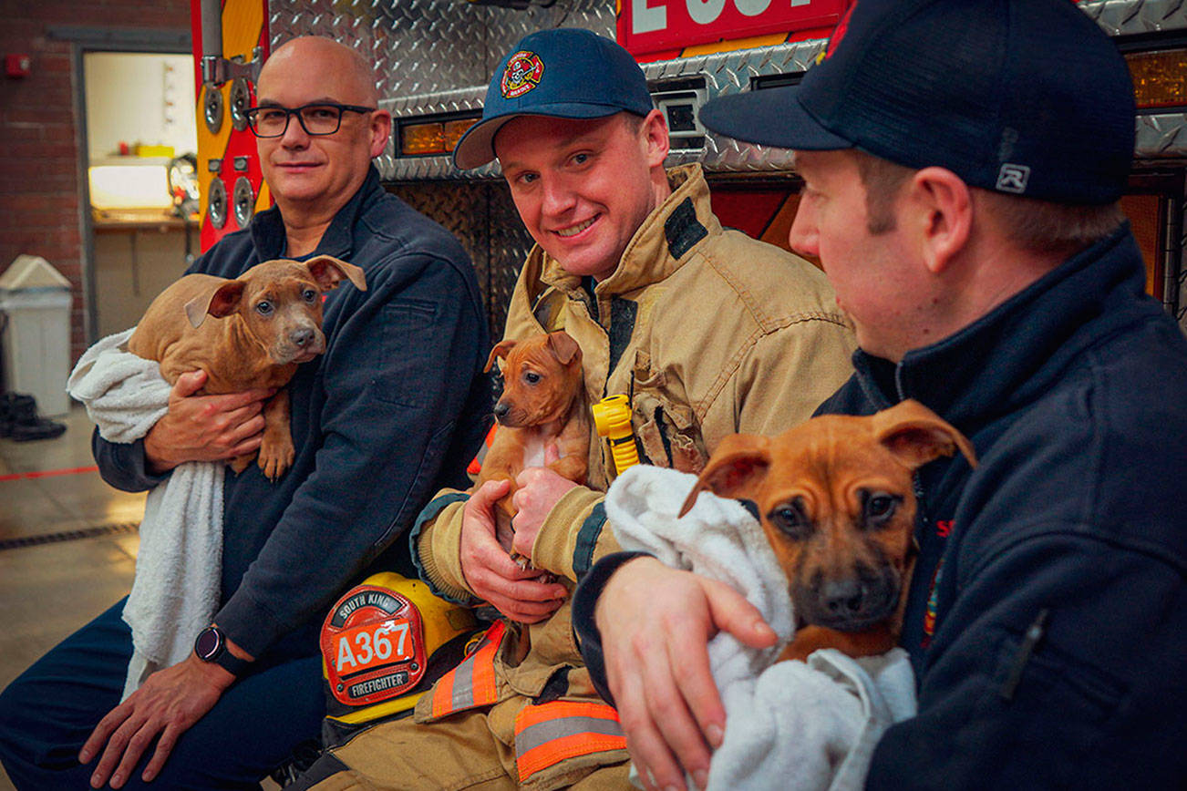 South King Fire helps local animal rescue with puppy transport