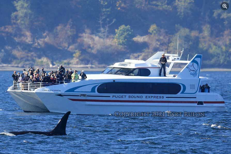 The Chilkat Express (Screenshot from Puget Sound Express Facebook)