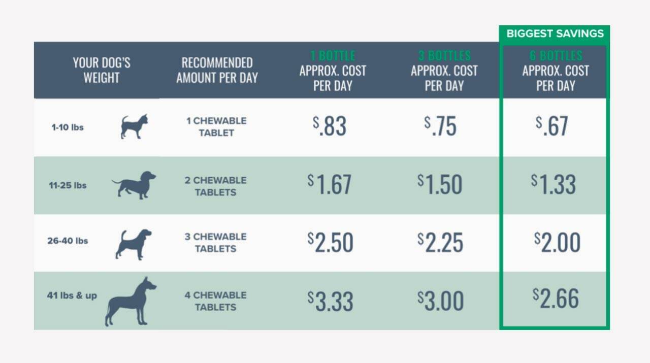 Dr. Marty Shine & Luster Skin and Coat Dog Supplement Reviews Seattle