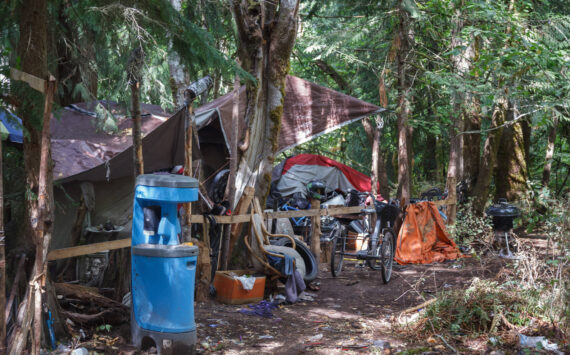Homeless encampment in a wooded area in Auburn. (Sound Publishing file photo)