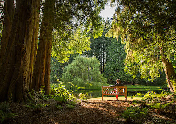 The forest at Bloedel Reserve on Bainbridge Island is a perfect place to re-energize this summer and slow down as you experience nature. Keith Brofsky photo